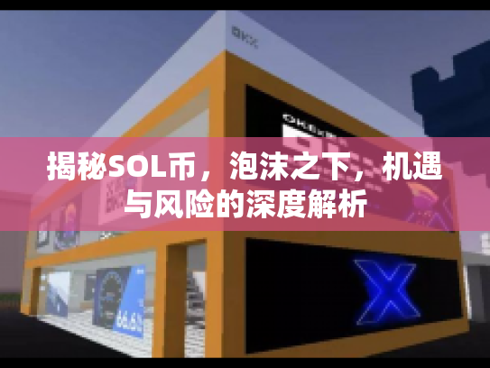 揭秘SOL币，泡沫之下，机遇与风险的深度解析