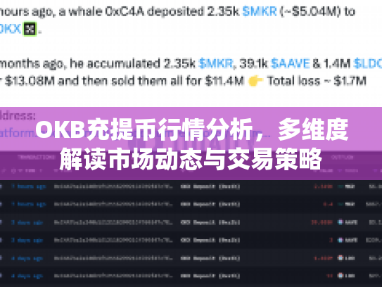 OKB充提币行情分析，多维度解读市场动态与交易策略