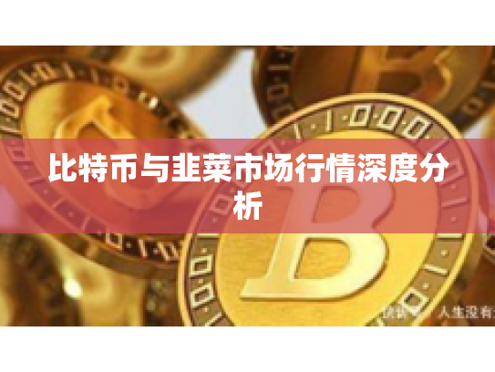 比特币与韭菜市场行情深度分析
