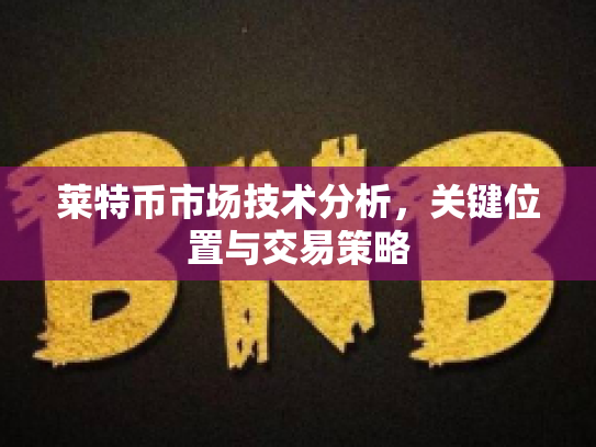 莱特币市场技术分析，关键位置与交易策略