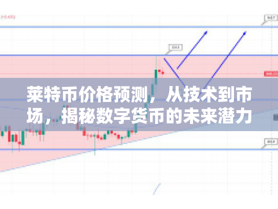 莱特币价格预测，从技术到市场，揭秘数字货币的未来潜力与风险