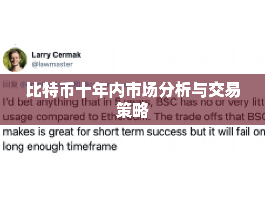 比特币十年内市场分析与交易策略