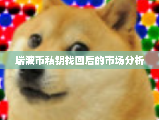 瑞波币私钥找回后的市场分析