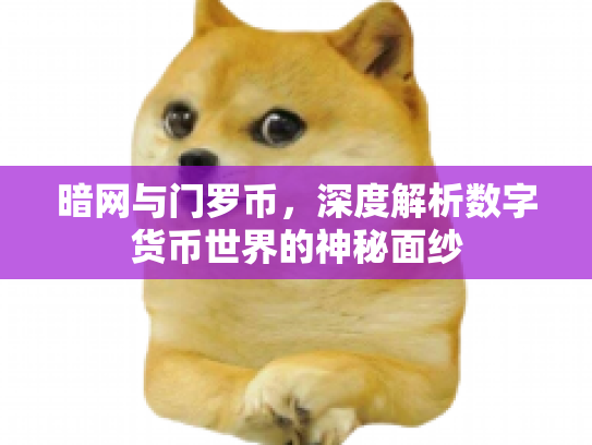暗网与门罗币，深度解析数字货币世界的神秘面纱