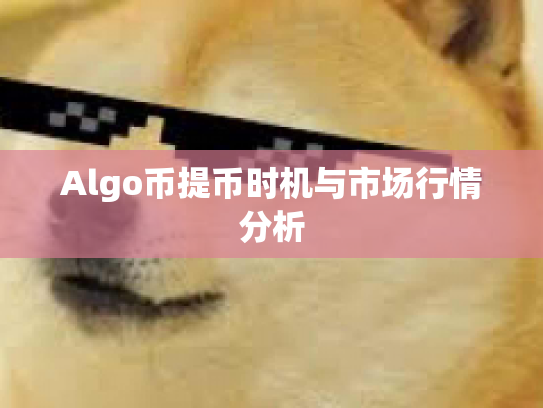 Algo币提币时机与市场行情分析