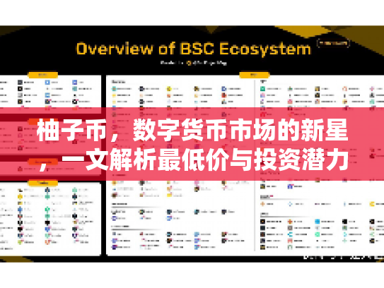 柚子币，数字货币市场的新星，一文解析最低价与投资潜力