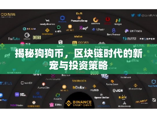 揭秘狗狗币，区块链时代的新宠与投资策略