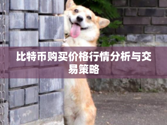 比特币购买价格行情分析与交易策略