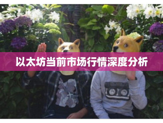以太坊当前市场行情深度分析