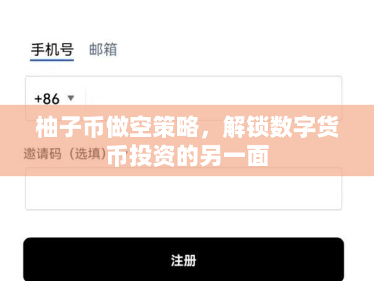 柚子币做空策略，解锁数字货币投资的另一面