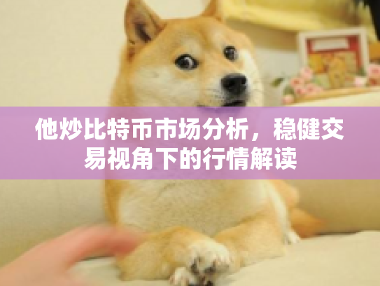 他炒比特币市场分析，稳健交易视角下的行情解读