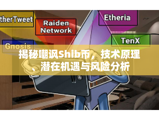 揭秘嘲讽Shib币，技术原理、潜在机遇与风险分析