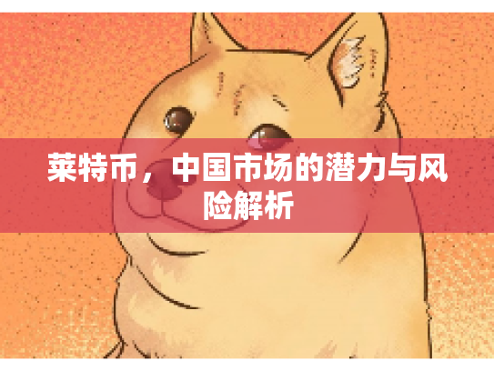 莱特币，中国市场的潜力与风险解析