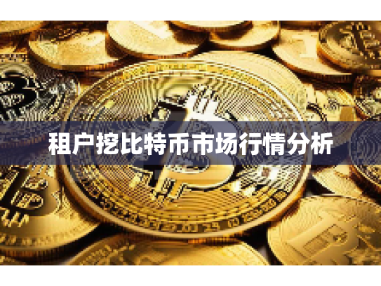租户挖比特币市场行情分析