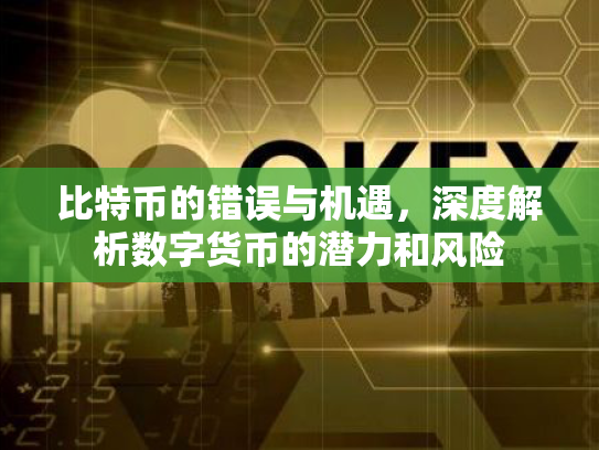 比特币的错误与机遇，深度解析数字货币的潜力和风险