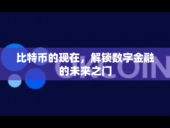 比特币的现在，解锁数字金融的未来之门