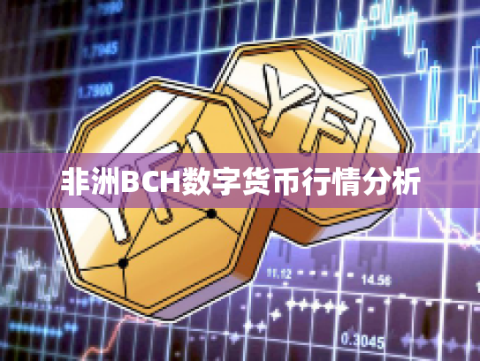 非洲BCH数字货币行情分析