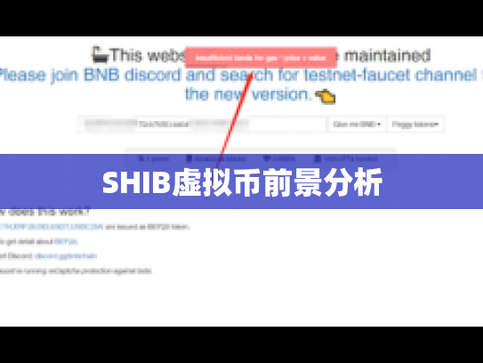 SHIB虚拟币前景分析