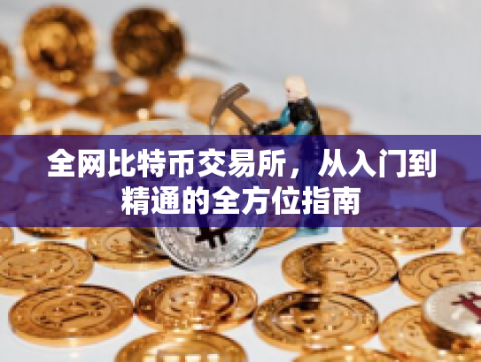 全网比特币交易所，从入门到精通的全方位指南