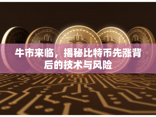 牛市来临，揭秘比特币先涨背后的技术与风险