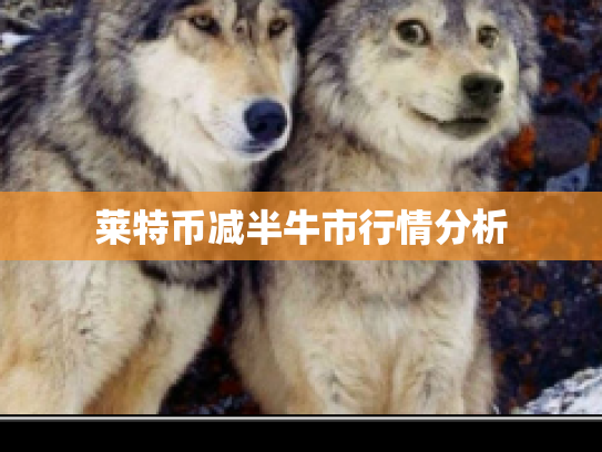 莱特币减半牛市行情分析