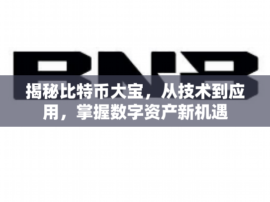 揭秘比特币大宝，从技术到应用，掌握数字资产新机遇
