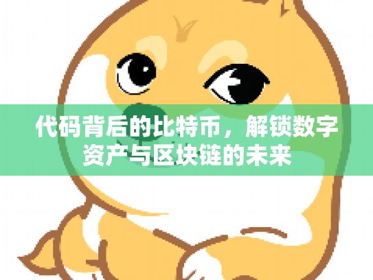 代码背后的比特币，解锁数字资产与区块链的未来