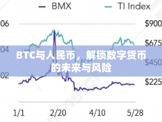 BTC与人民币，解锁数字货币的未来与风险