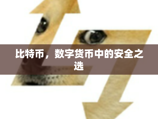 比特币，数字货币中的安全之选