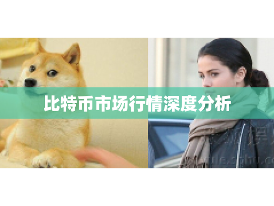 比特币市场行情深度分析