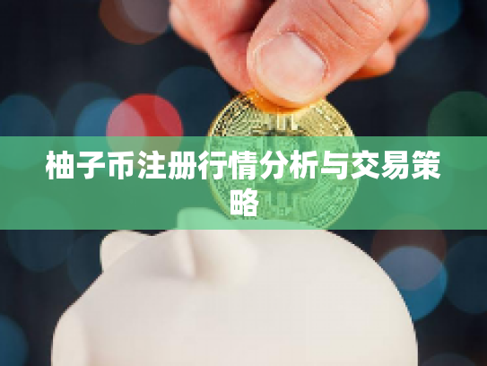 柚子币注册行情分析与交易策略