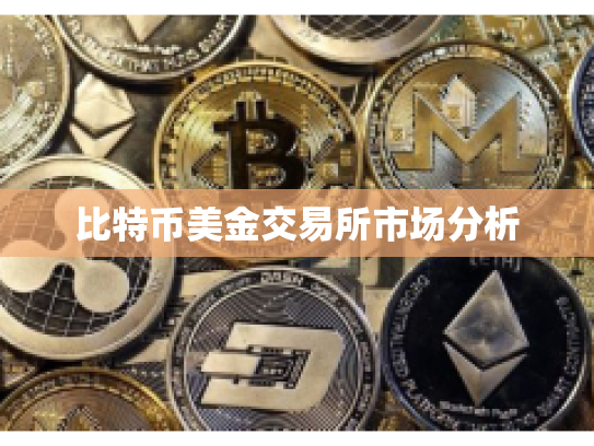 比特币美金交易所市场分析