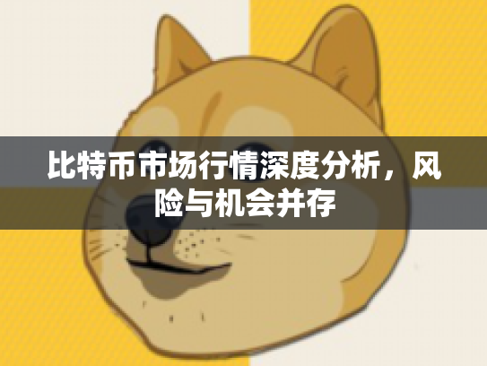 比特币市场行情深度分析，风险与机会并存