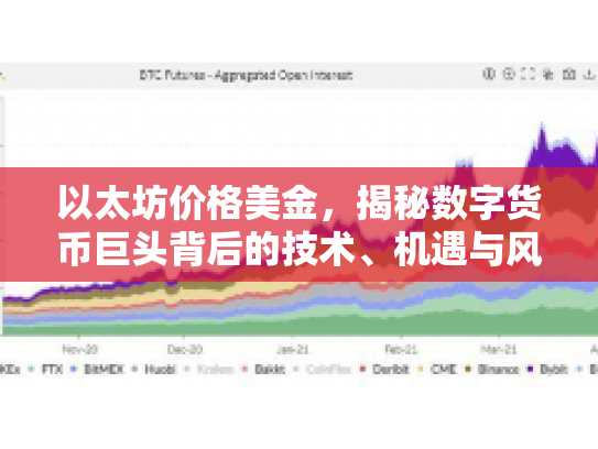 以太坊价格美金，揭秘数字货币巨头背后的技术、机遇与风险