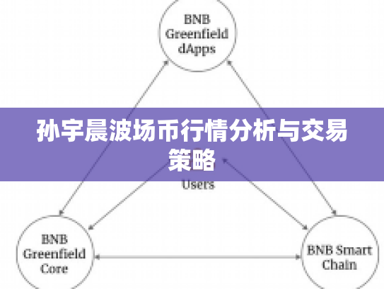 孙宇晨波场币行情分析与交易策略