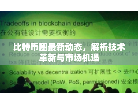 比特币圈最新动态，解析技术革新与市场机遇