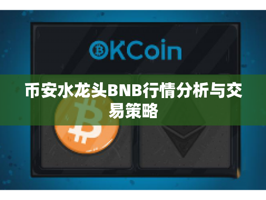 币安水龙头BNB行情分析与交易策略