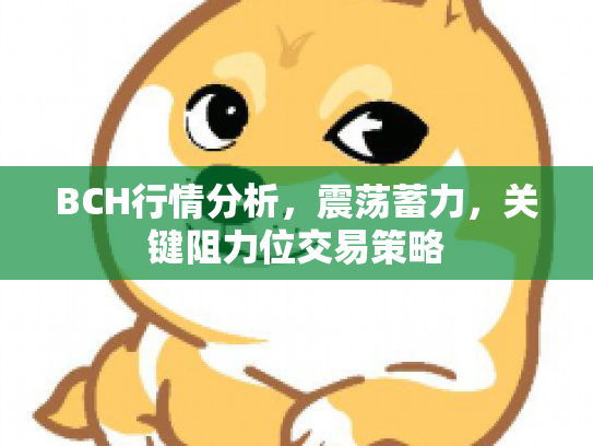 BCH行情分析，震荡蓄力，关键阻力位交易策略