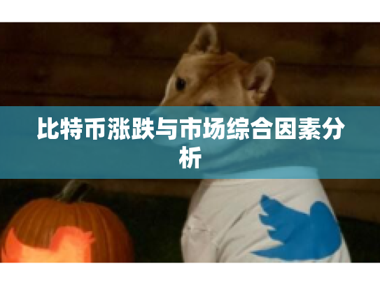 比特币涨跌与市场综合因素分析