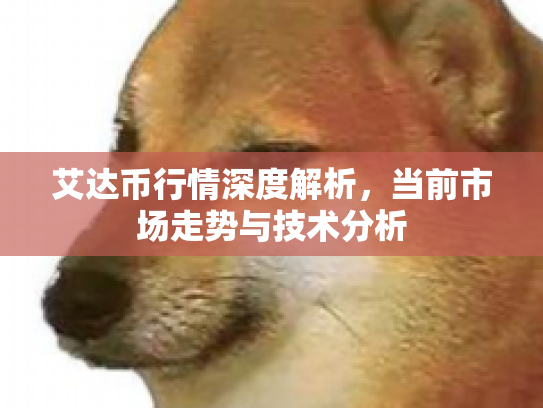 艾达币行情深度解析，当前市场走势与技术分析