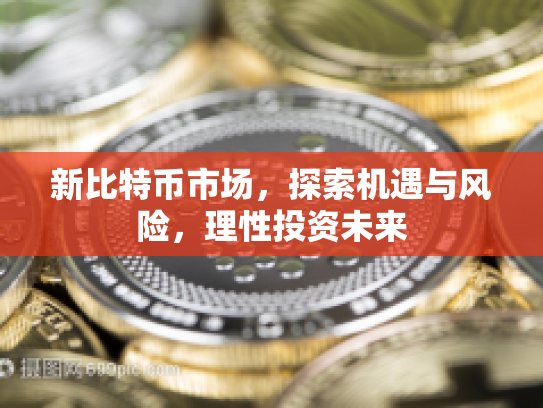 新比特币市场，探索机遇与风险，理性投资未来