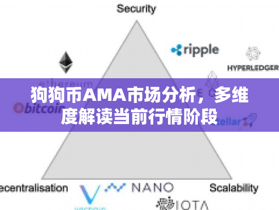 狗狗币AMA市场分析，多维度解读当前行情阶段