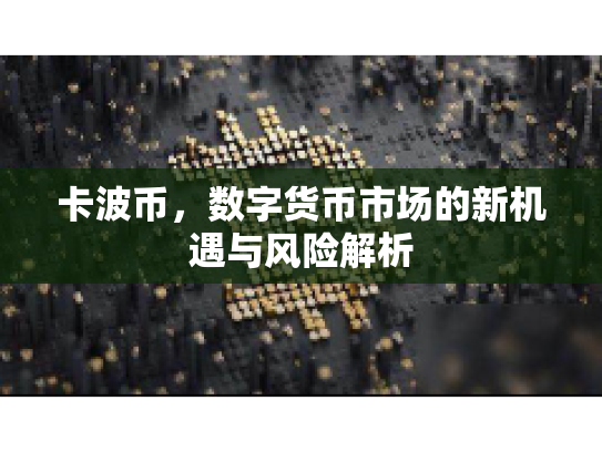 卡波币，数字货币市场的新机遇与风险解析