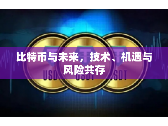比特币与未来，技术、机遇与风险共存