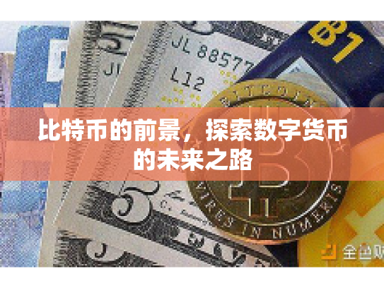 比特币的前景，探索数字货币的未来之路