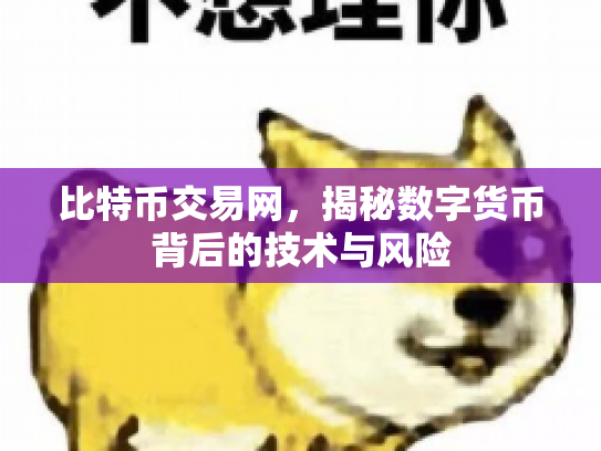 比特币交易网，揭秘数字货币背后的技术与风险