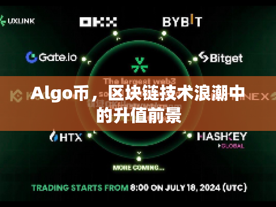 Algo币，区块链技术浪潮中的升值前景