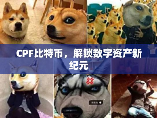 CPF比特币，解锁数字资产新纪元