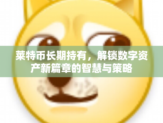莱特币长期持有，解锁数字资产新篇章的智慧与策略