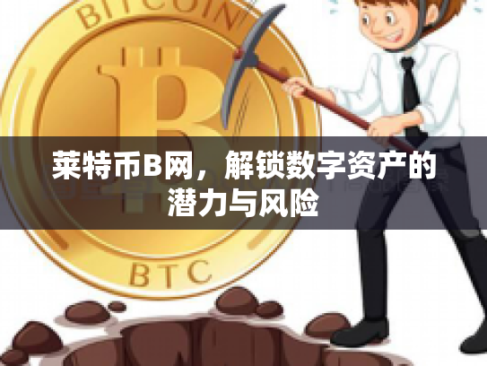 莱特币B网，解锁数字资产的潜力与风险